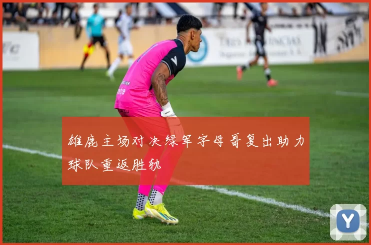 雄鹿主场对决绿军字母哥复出助力球队重返胜轨
