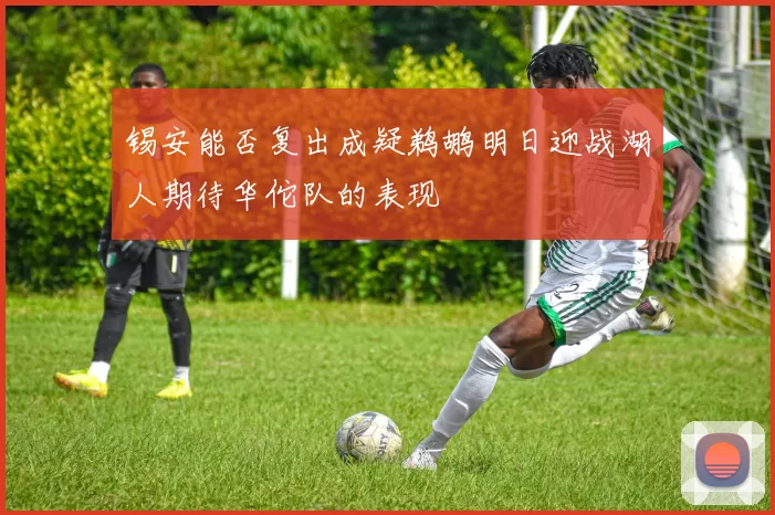 锡安能否复出成疑鹈鹕明日迎战湖人期待华佗队的表现